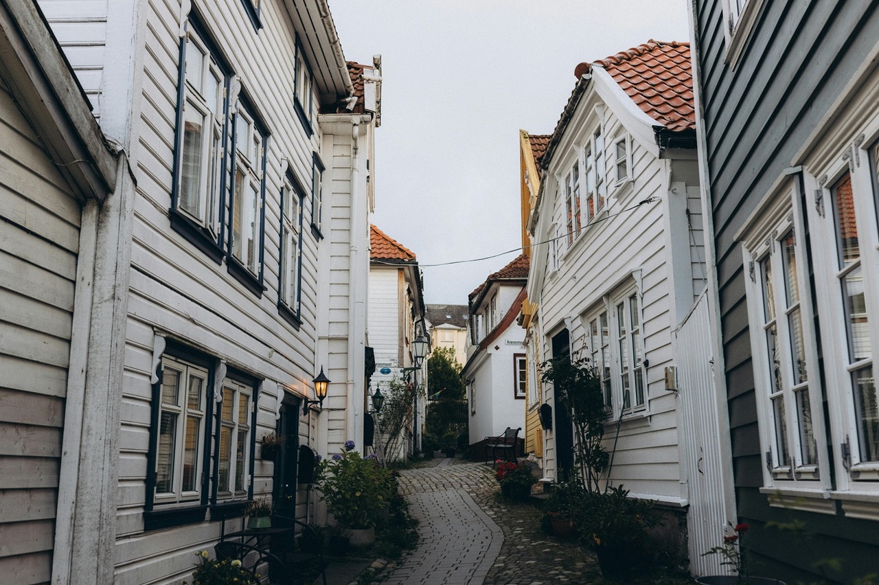 pexels-jonathanborba-33583879