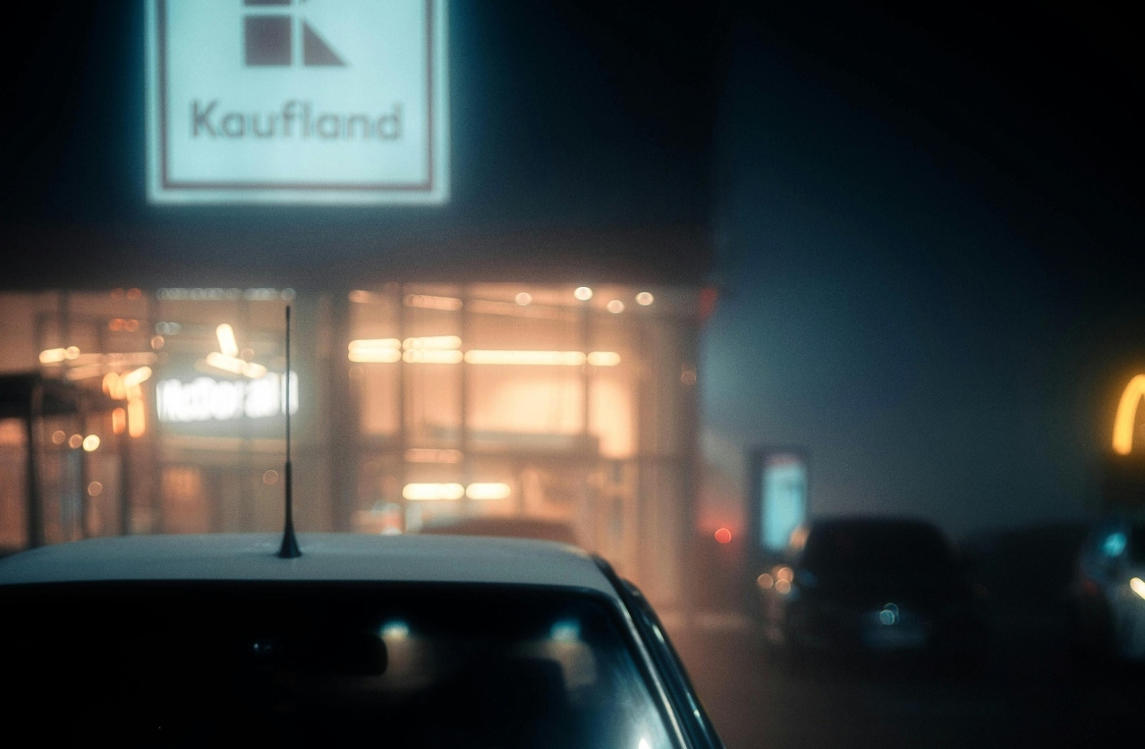 pexels-borta-2790256-30271165 (3) (1)