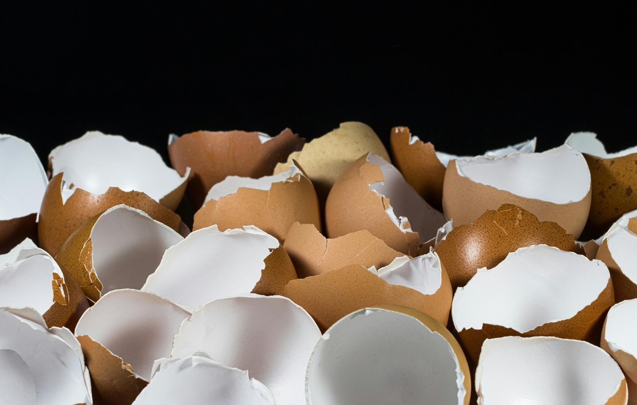 pexels-jari-lobo-456989711-19071342