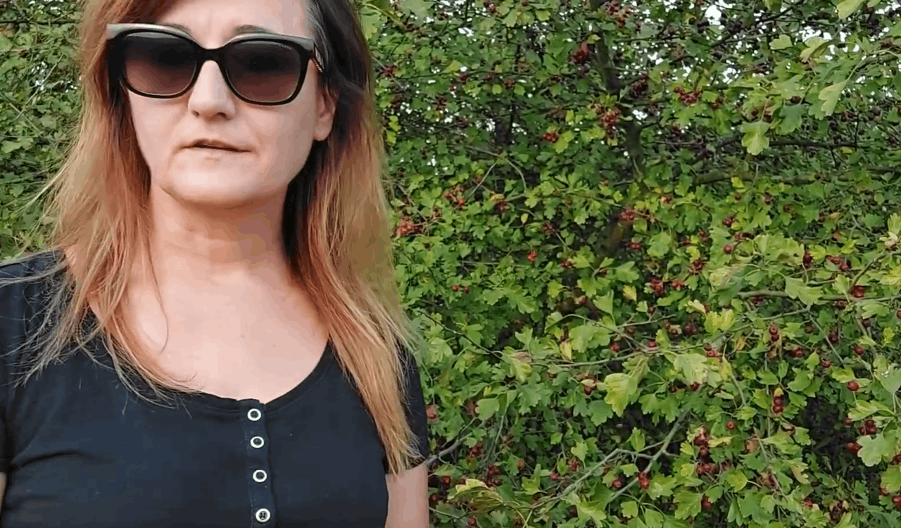 Snimka zaslona 2026-02-08 113931