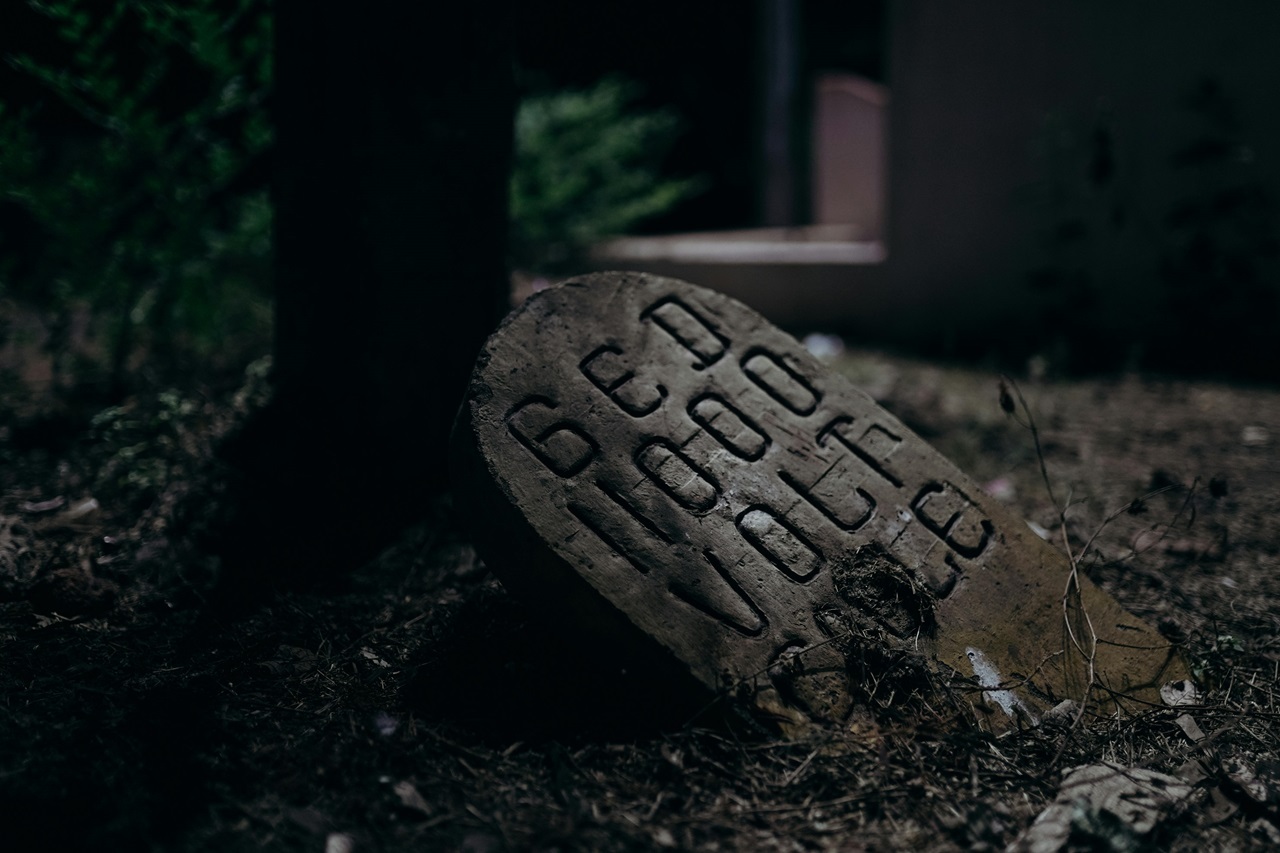 pexels-cottonbro-4427636