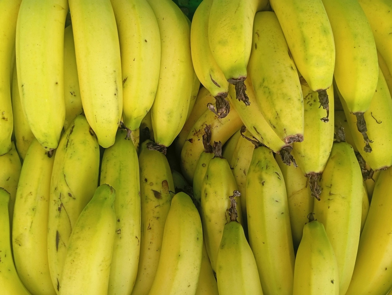 pexels-youtuber-25128702-34935241 (1)