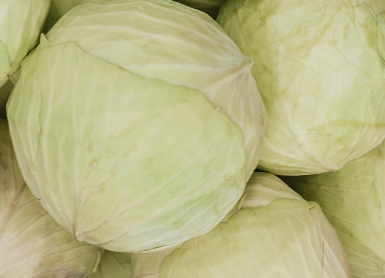 pexels-arina-krasnikova-6316537