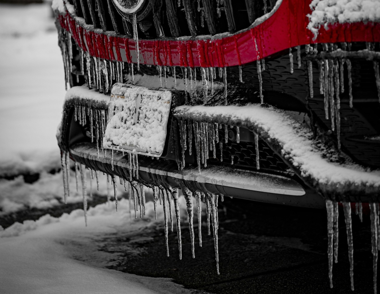 pexels-gursher-gill-63702010-35553648 (1)