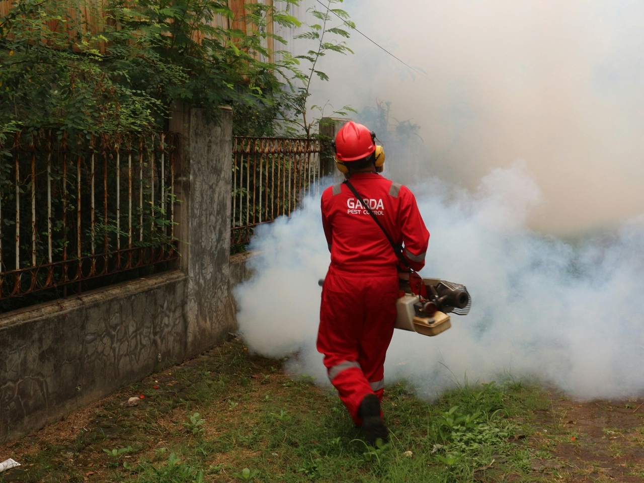 pexels-garda-pest-control-indonesia-895947270-19789837