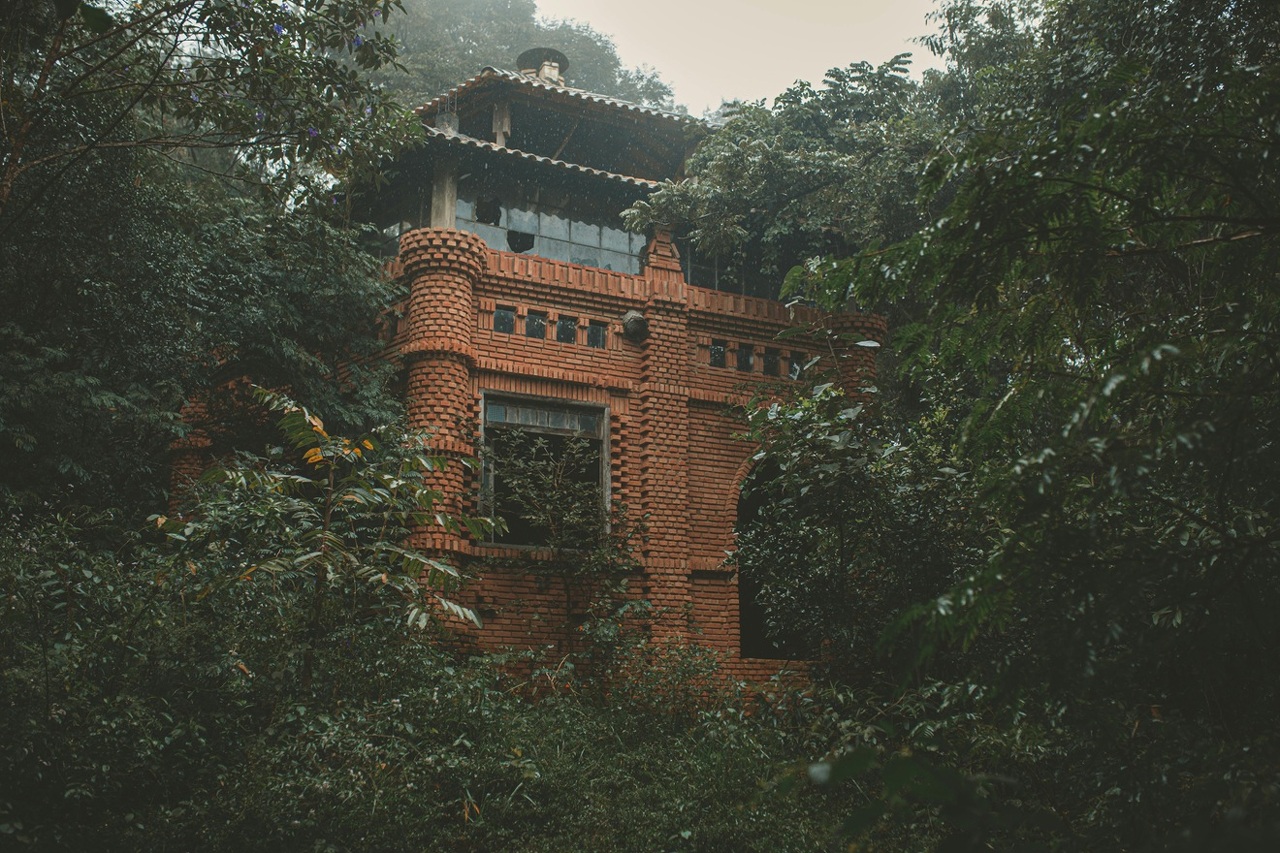 pexels-lucaspezeta-2770526