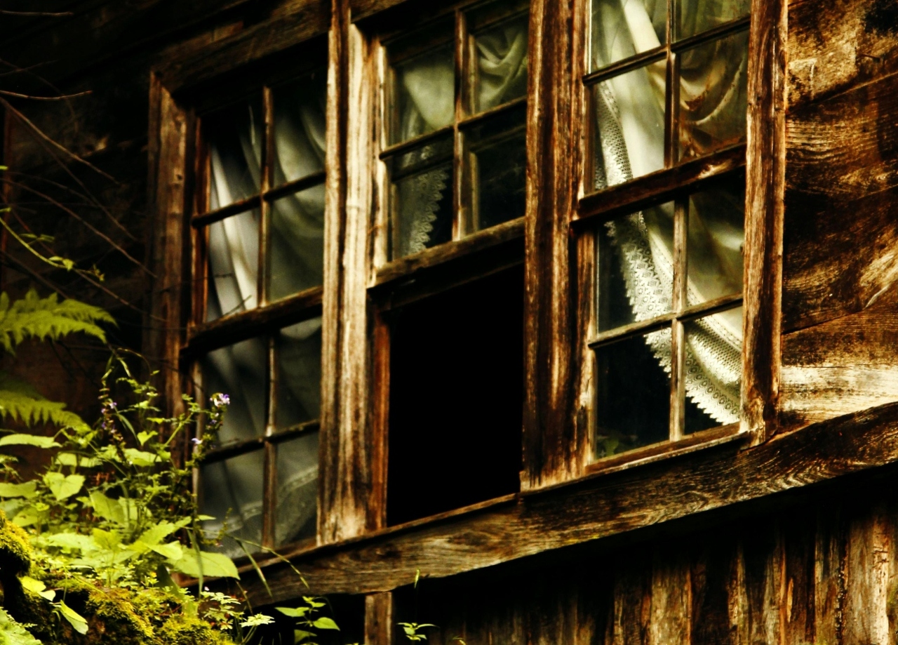 pexels-mirac-sendil-15115035-9224822 (1)