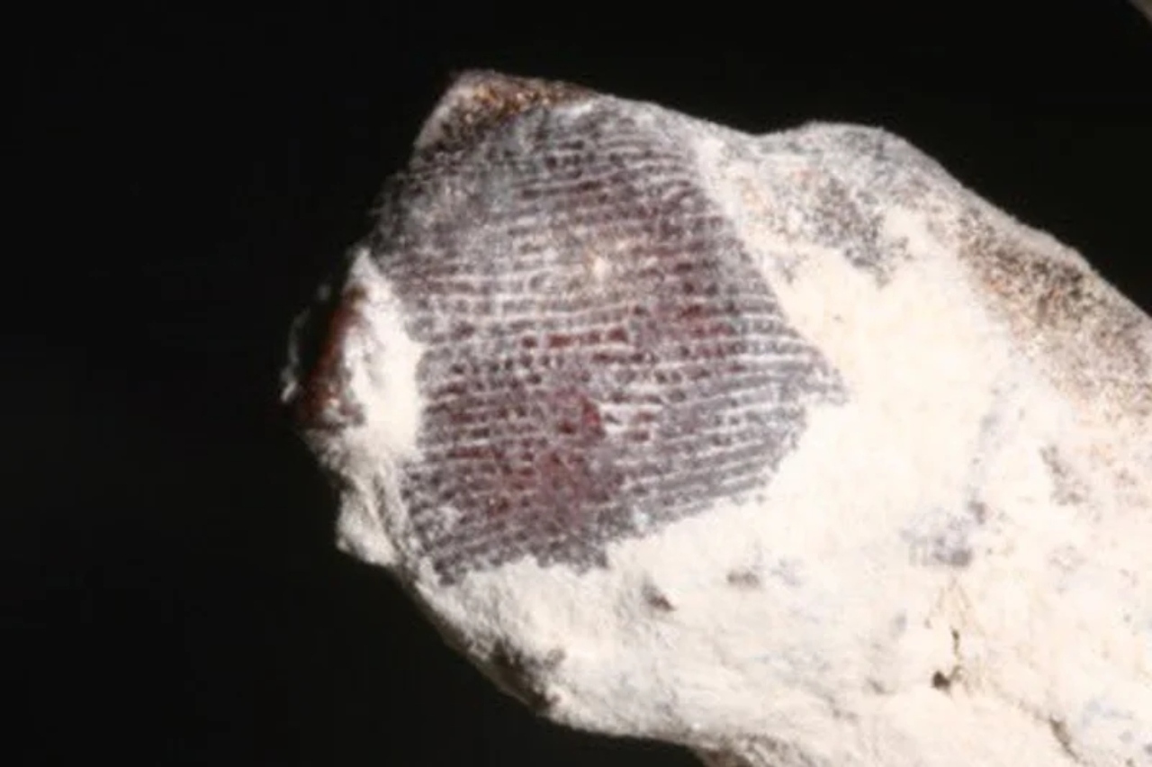 a-close-up-of-the-fingerprint-of-the-so-called-nazca-mummy-known-as-maria