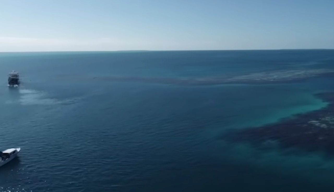 image - 2025-11-03T155938