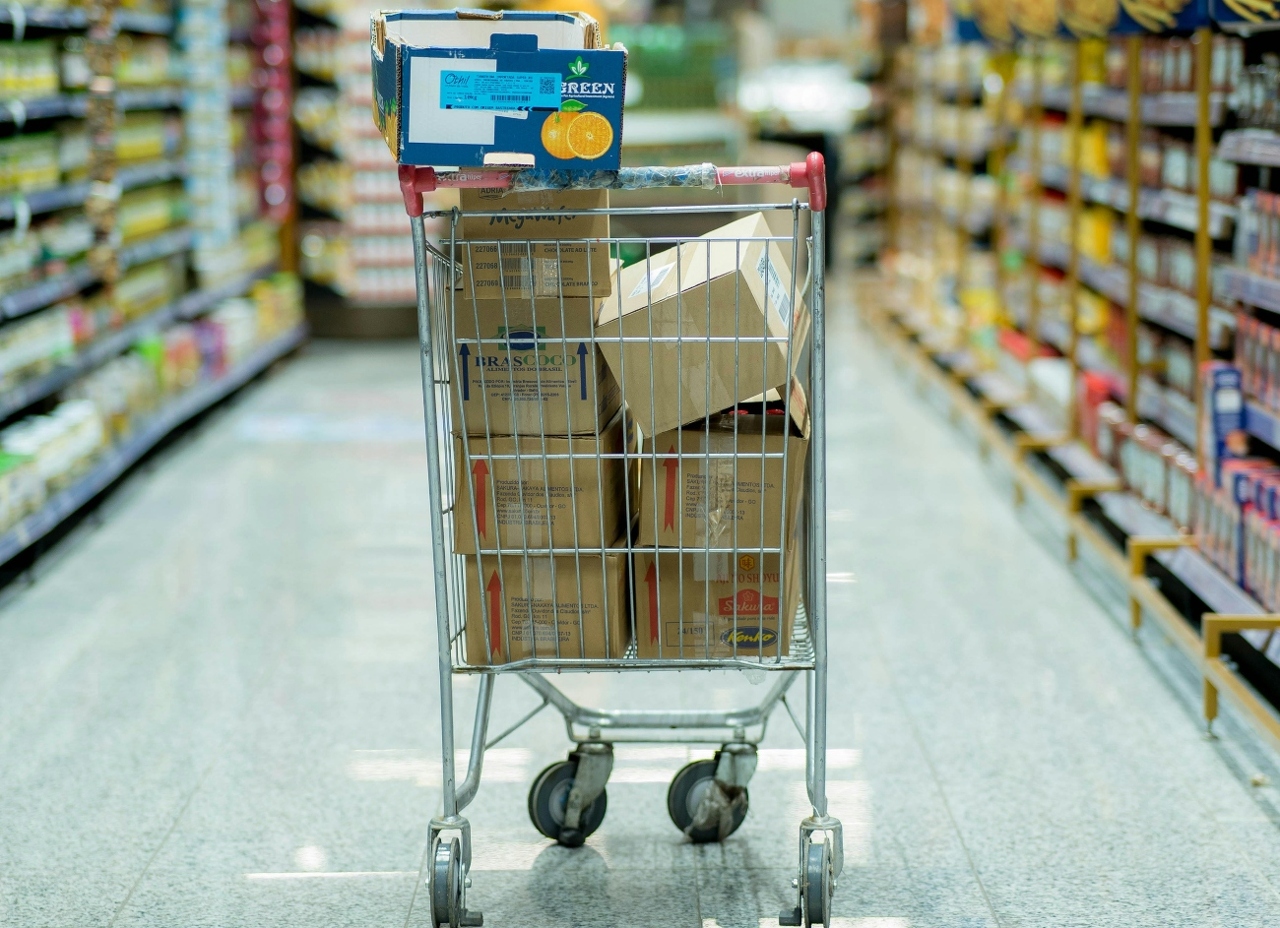 pexels-chuck-15491800 (1)