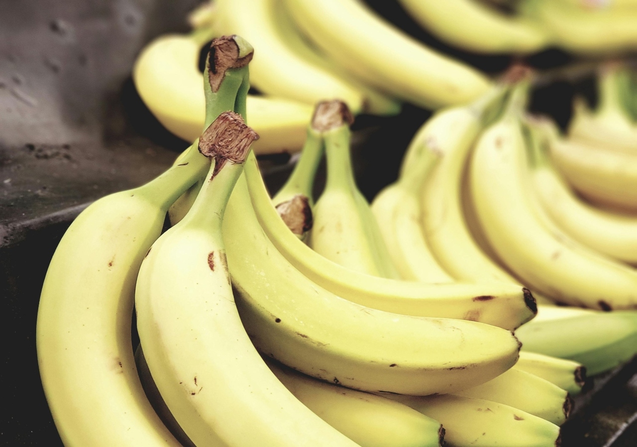 pexels-akio-1093038 (1)