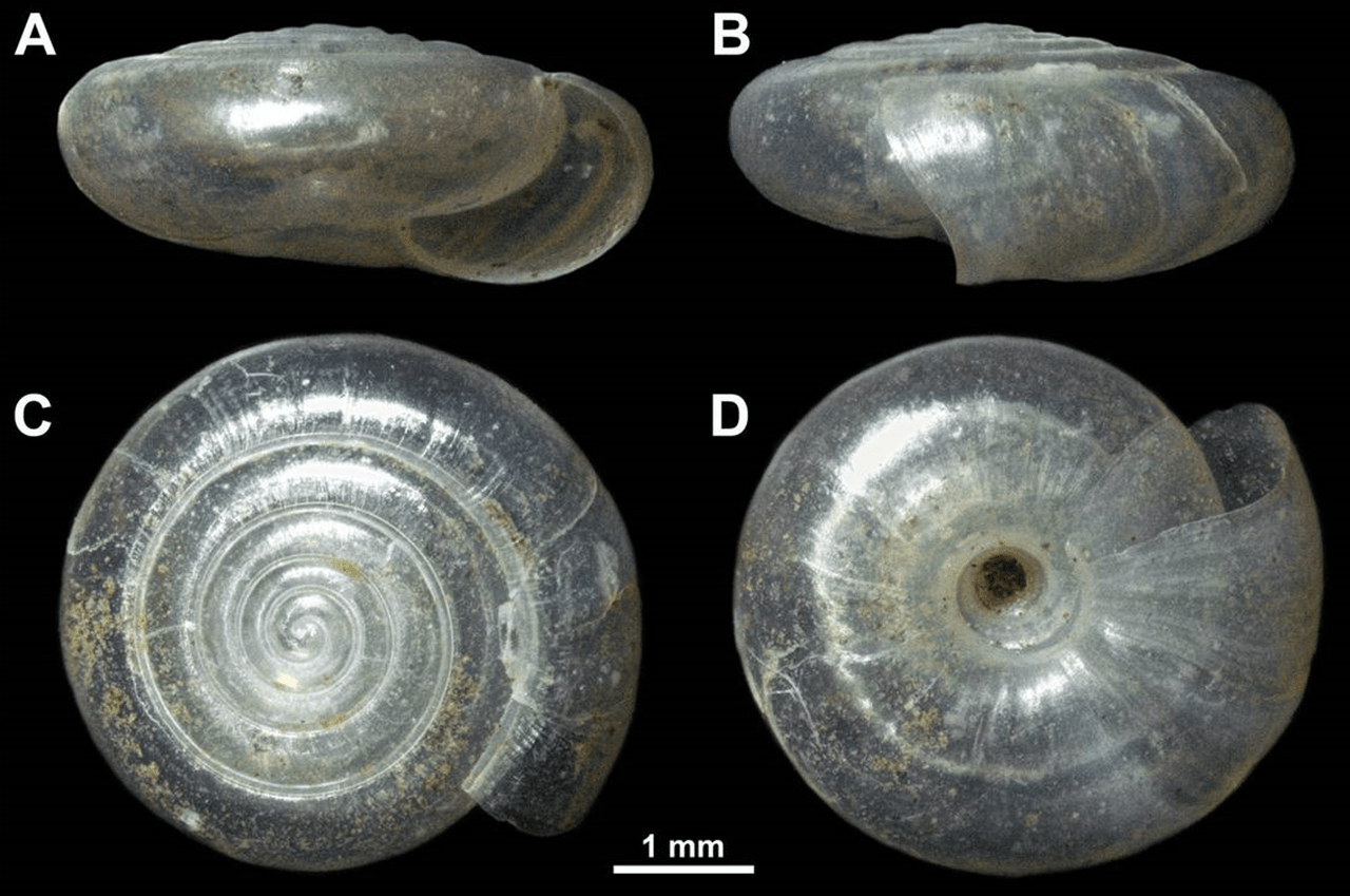 Snimka zaslona 2024-05-20 220447-min