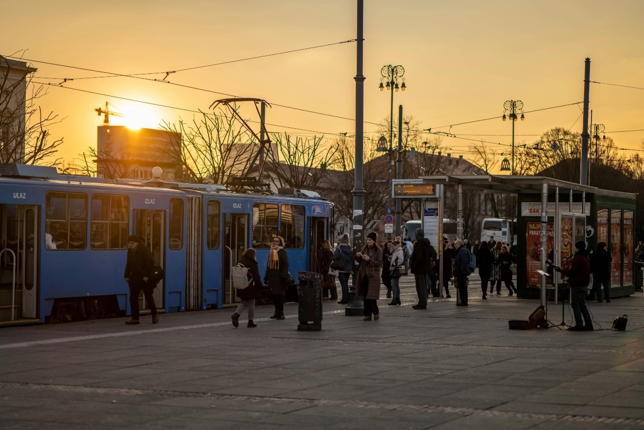 pexels-vladimirsrajber-30263458 (1)