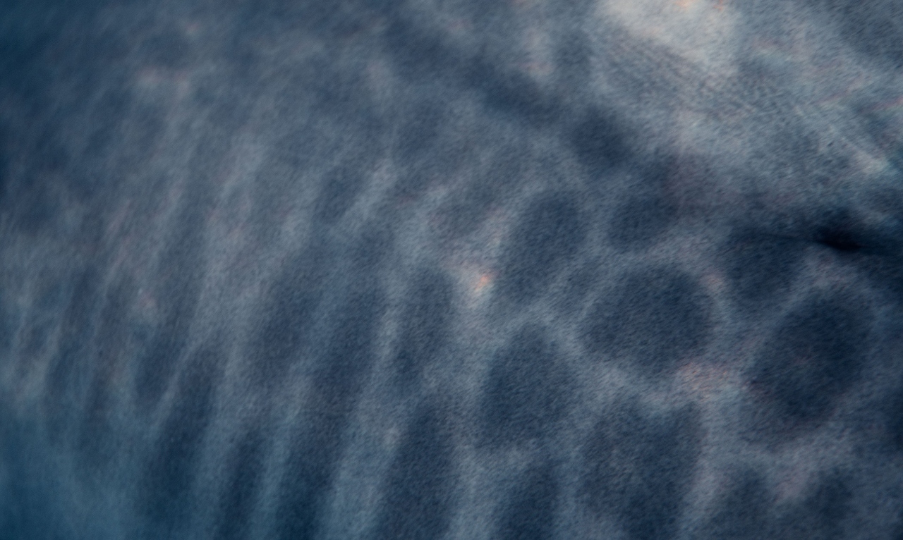 pexels-alohaphotostudio-18558749 (1)