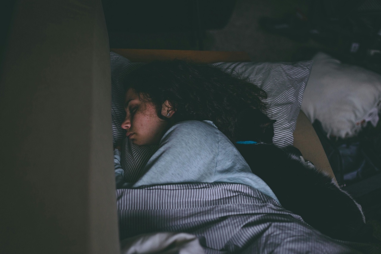 pexels-craig-adderley-1497855