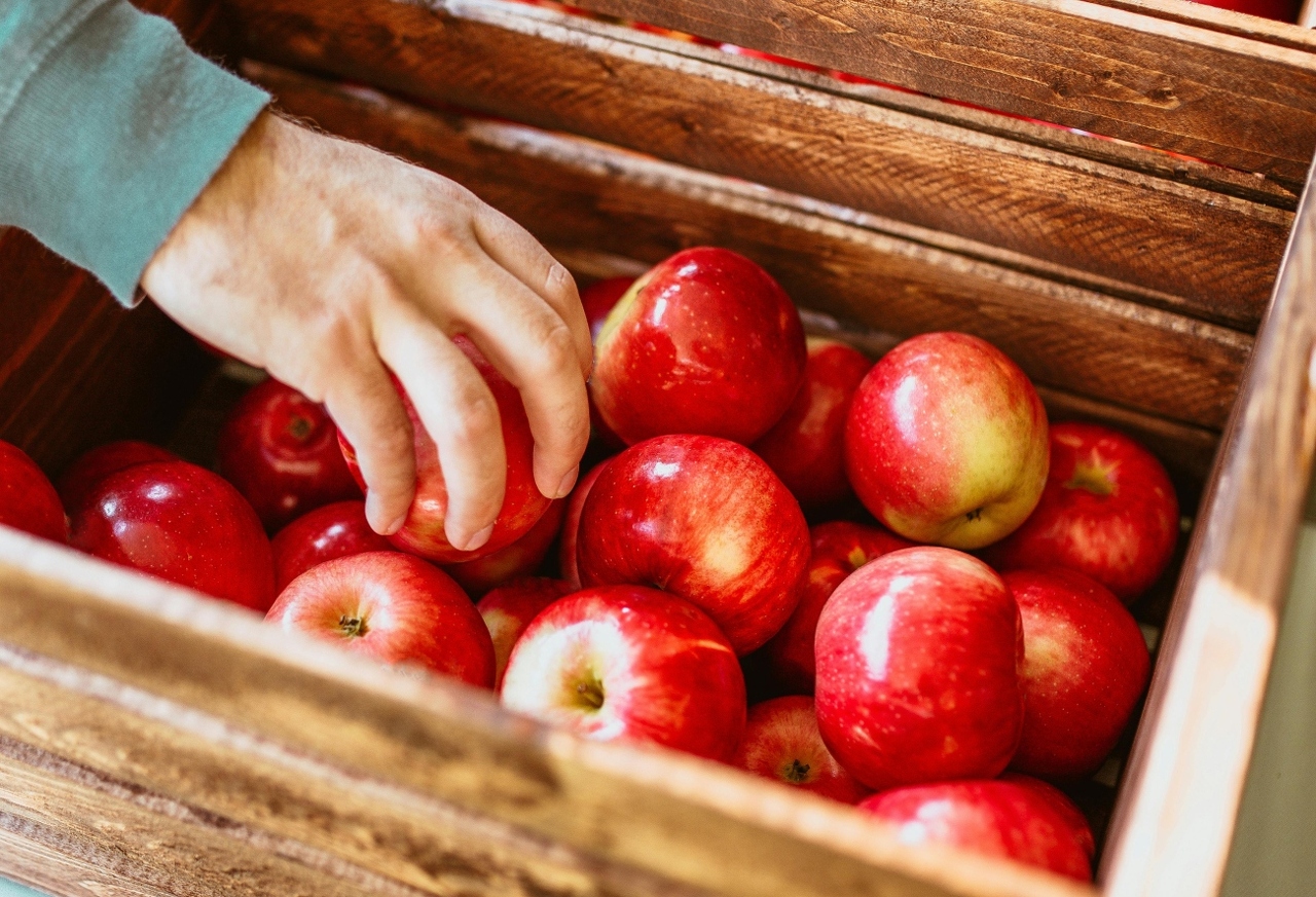 pexels-josh-hild-1270765-2949140 (1)