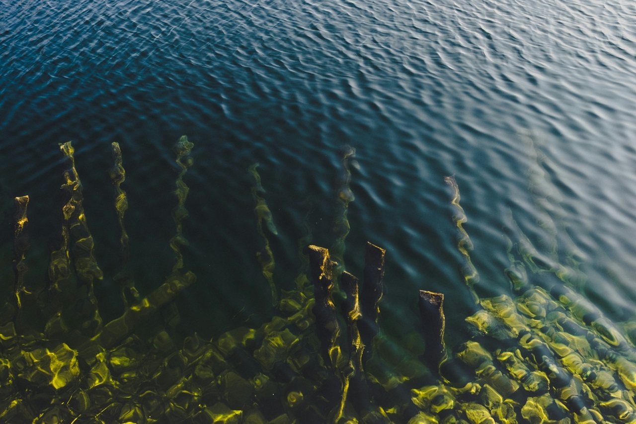 thomas-peham-jisk3DT0OsU-unsplash