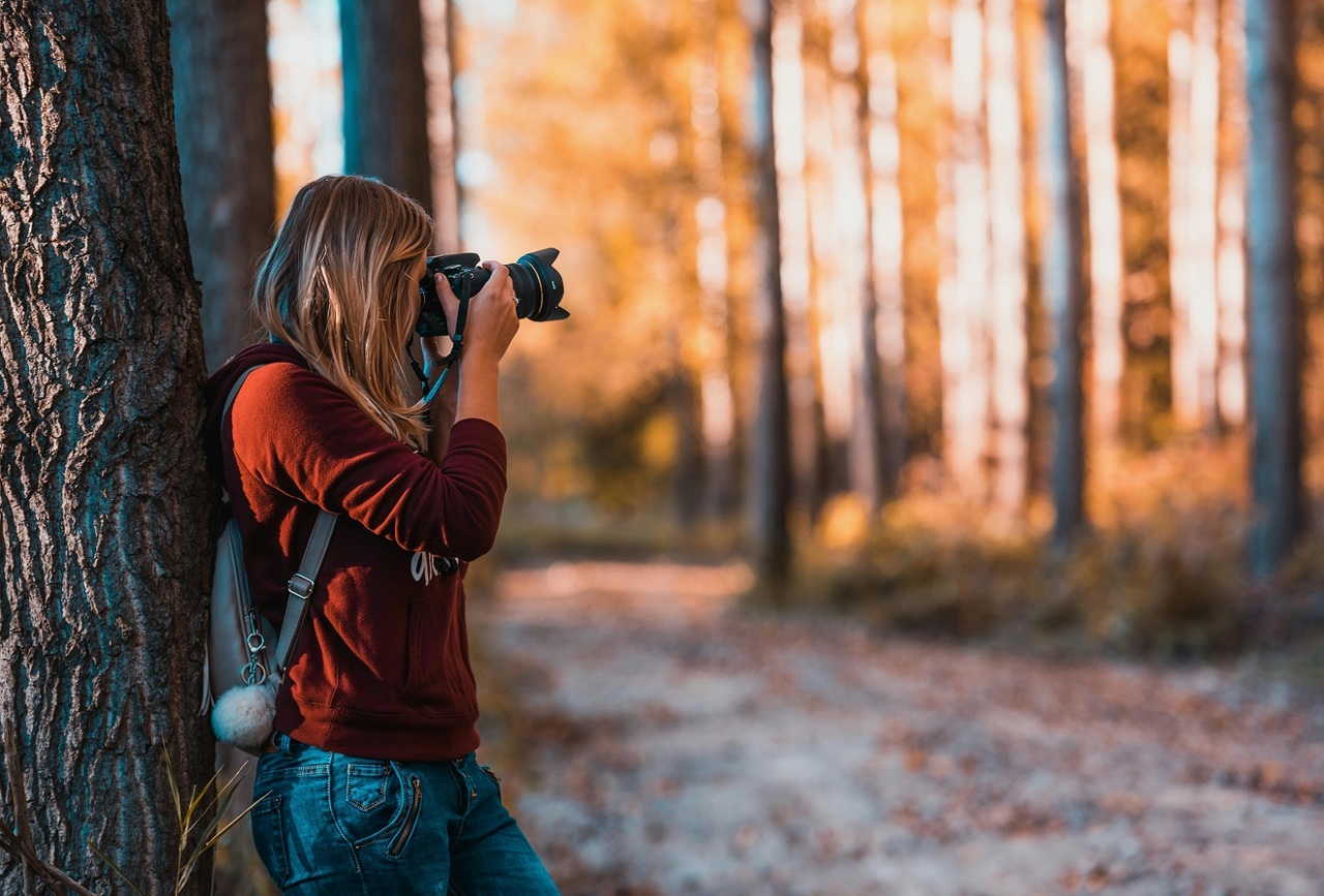 pexels-david-bartus-43782-610293