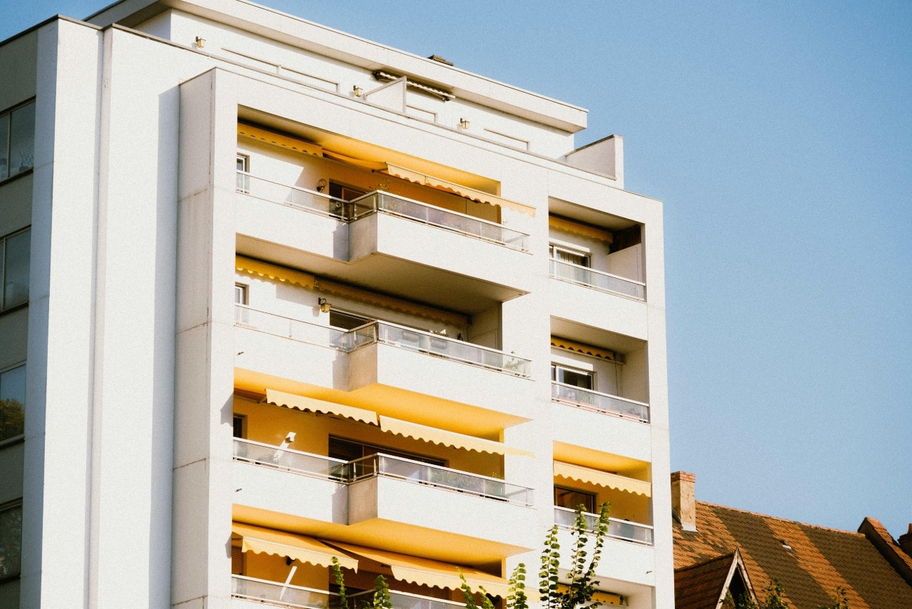 pexels-matreding-9514349 (1)