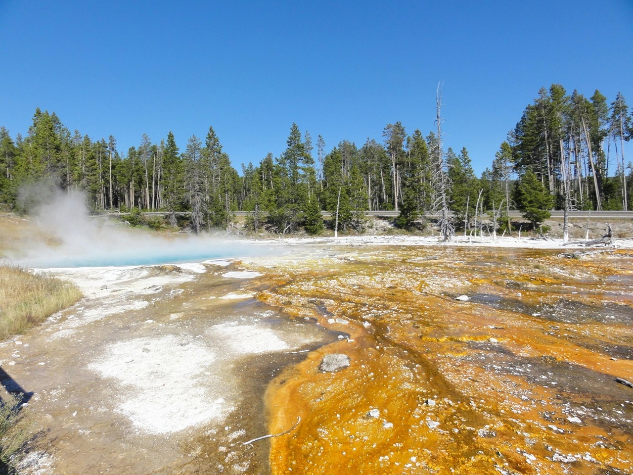 pexels-prashant-sasnoor-2155916133-33953330