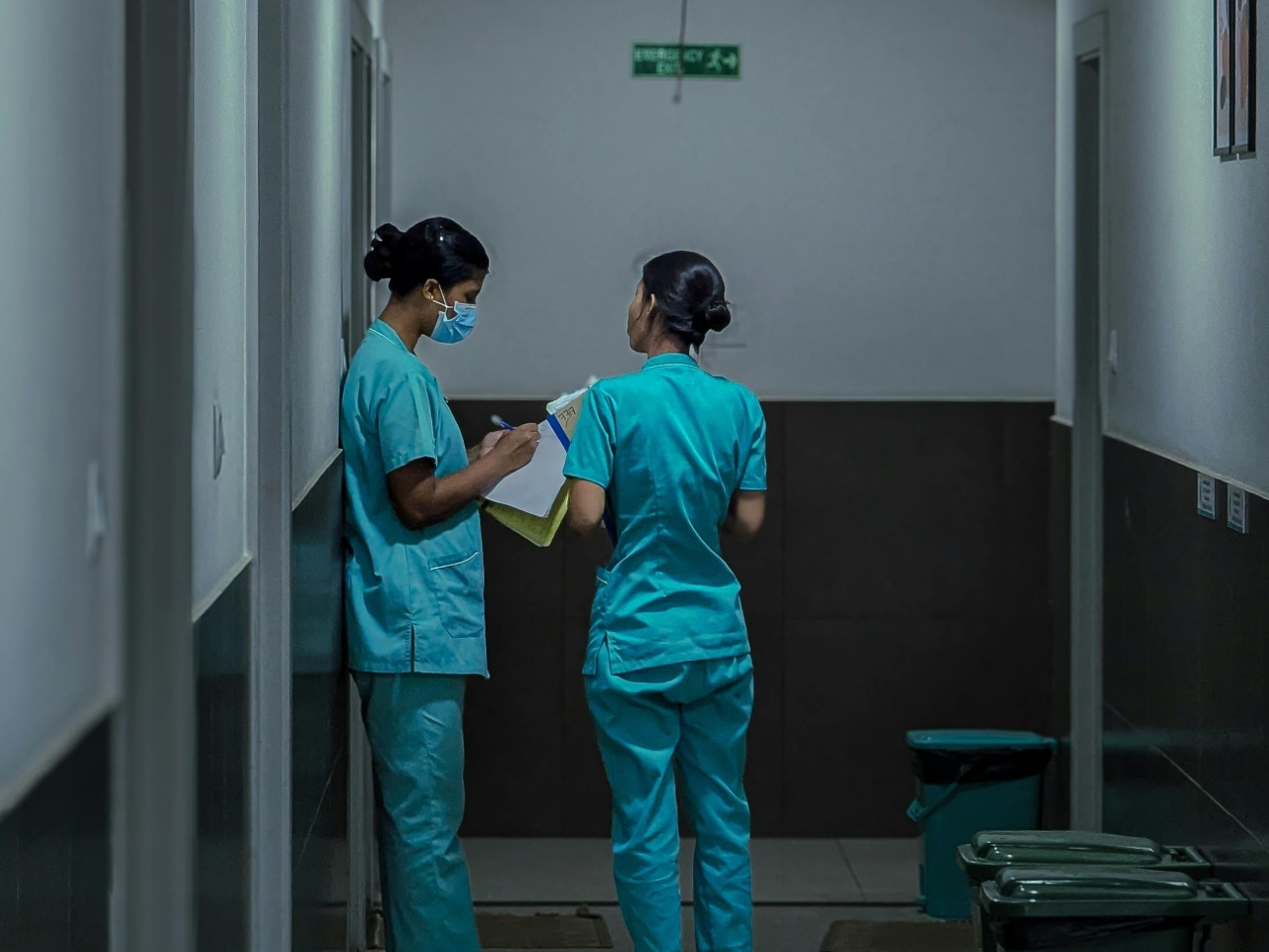 pexels-adarsh-mp-31499386 (1)