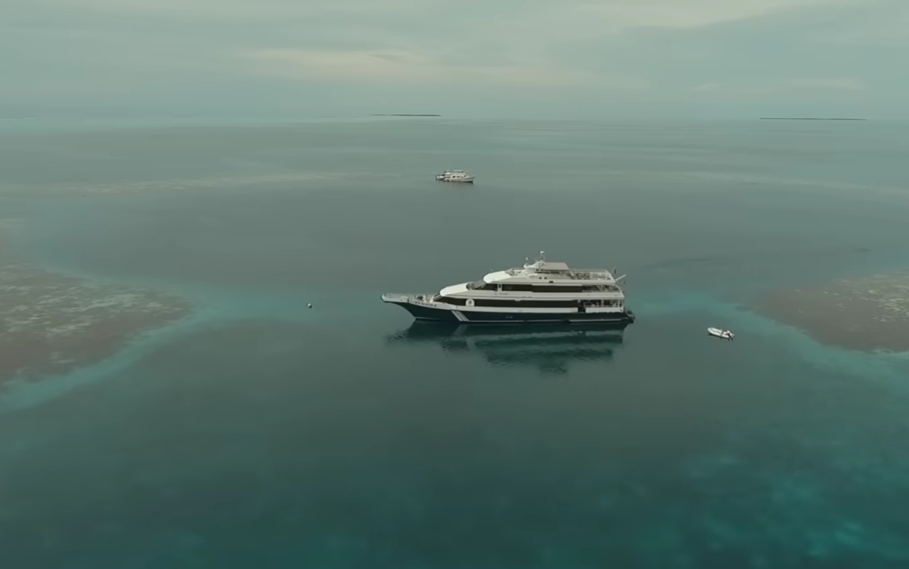 image - 2025-11-03T160019