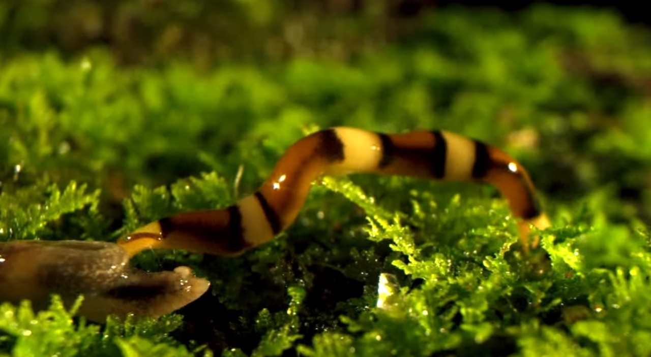 image - 2025-11-10T174328