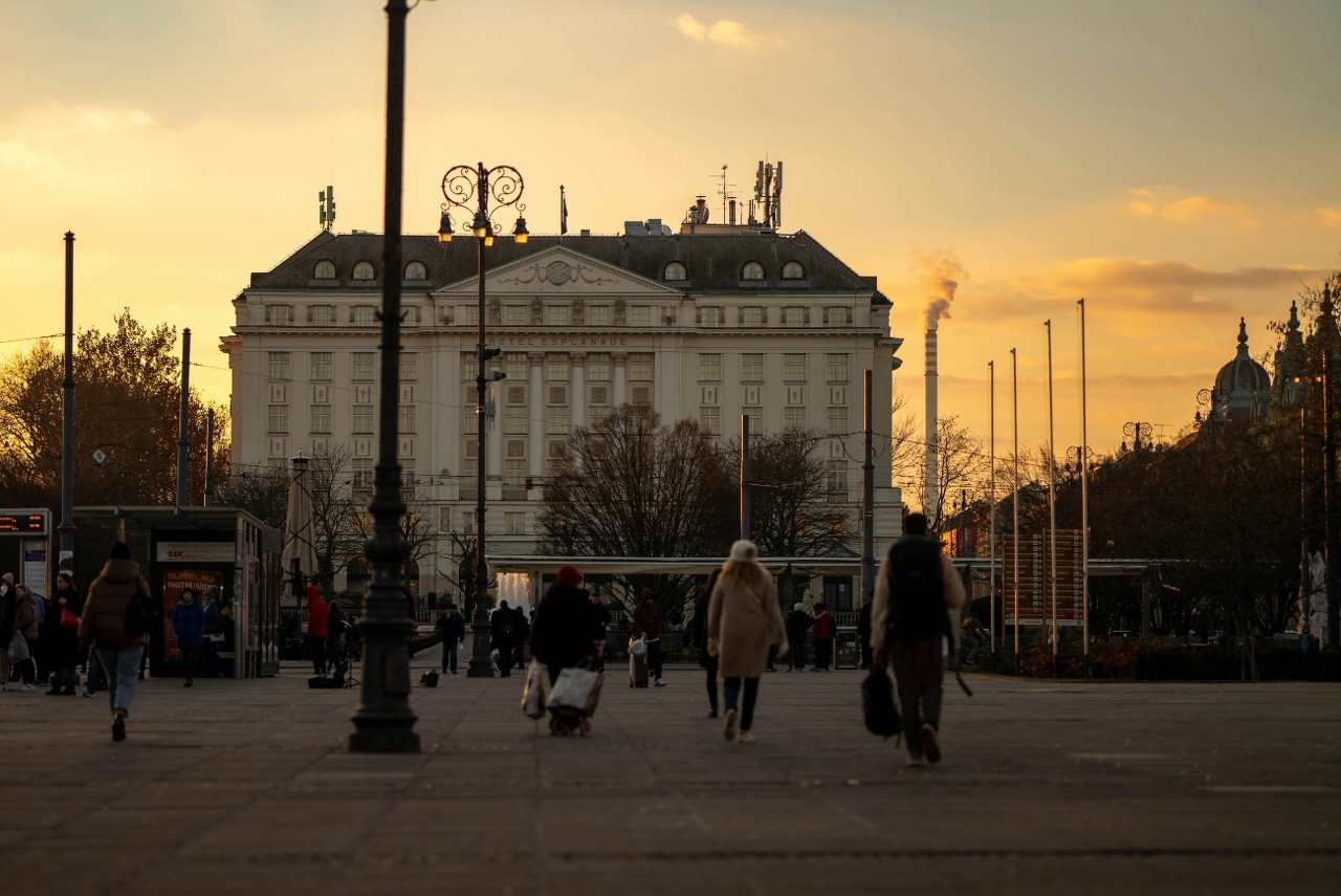 pexels-vladimirsrajber-30263462 (1)