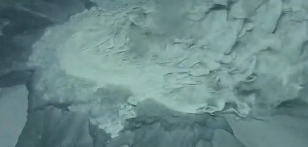 image - 2026-04-27T152449