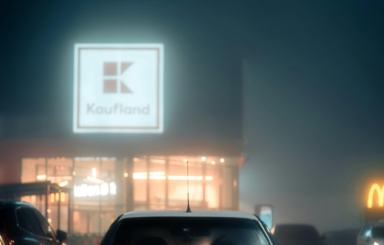 pexels-borta-2790256-30271170 (1)