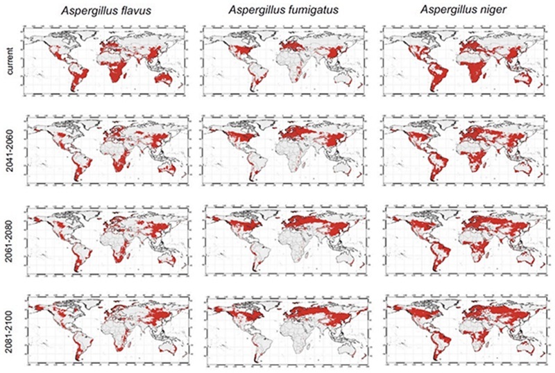 WorldMaps