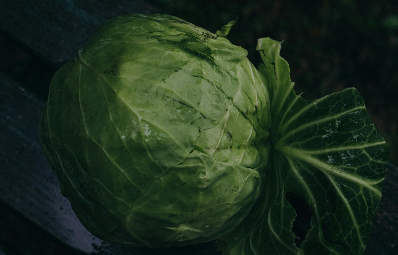 pexels-nadin-sh-78971847-32254885