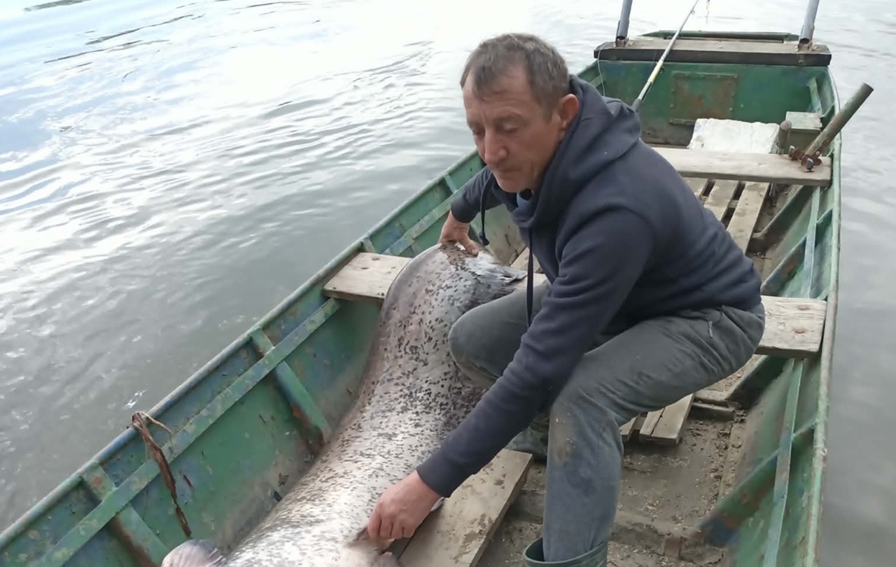 667942044_26036544206042345_1297229212302368207_n