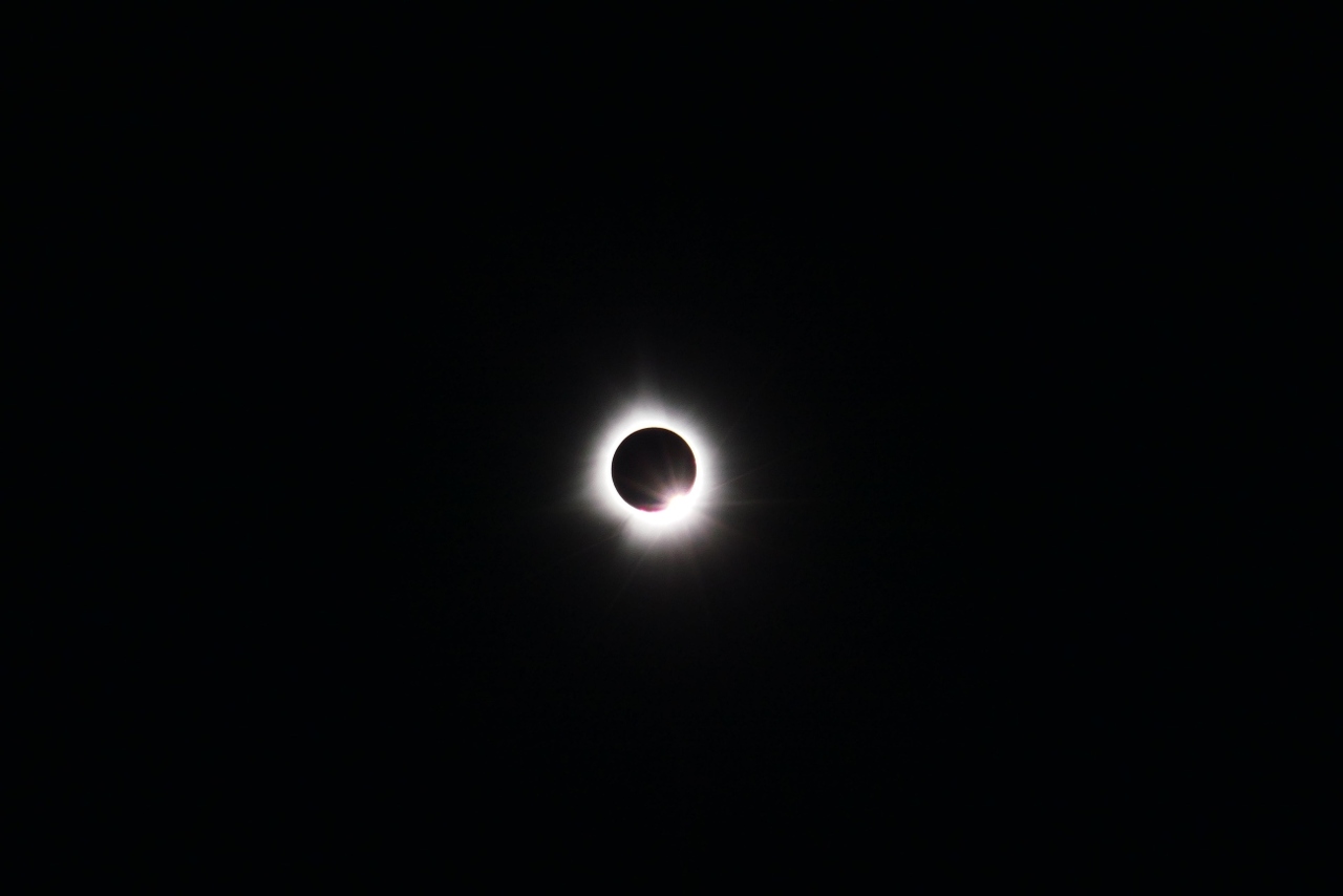 pexels-maxwellfury-21315786 (1)