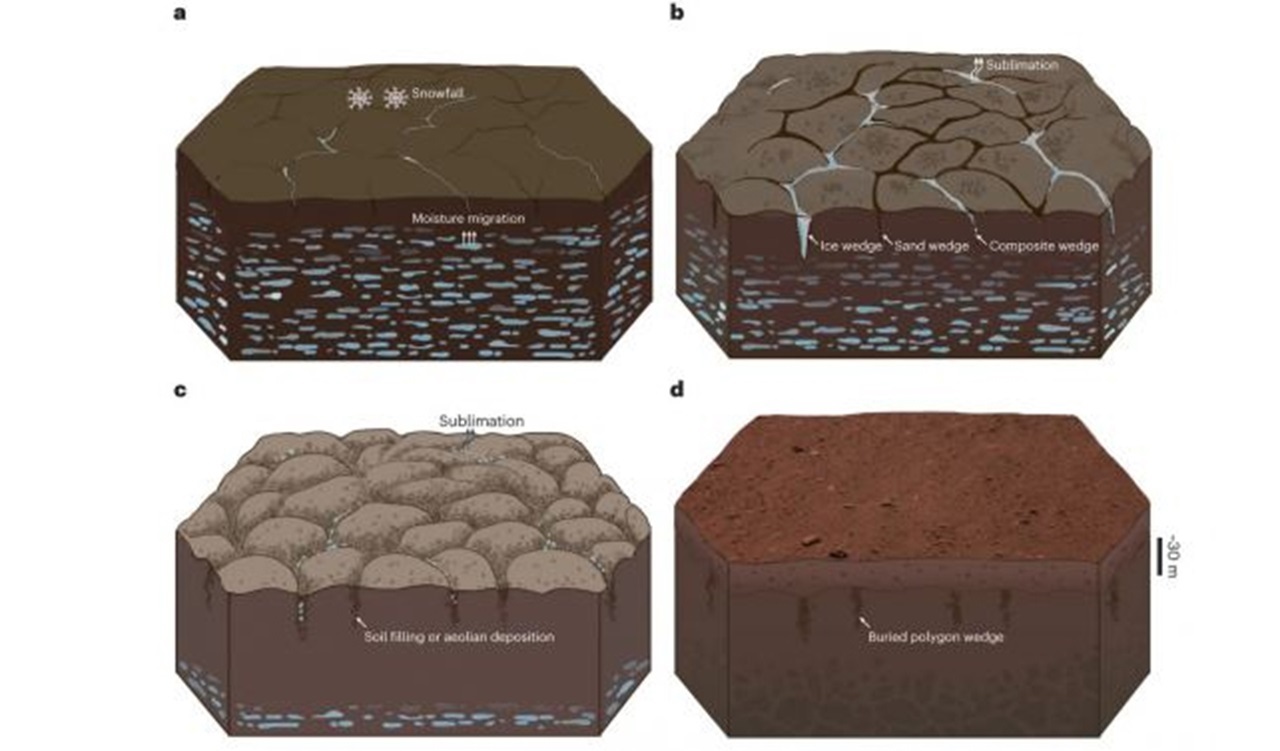 polygon_terrain_model_mars