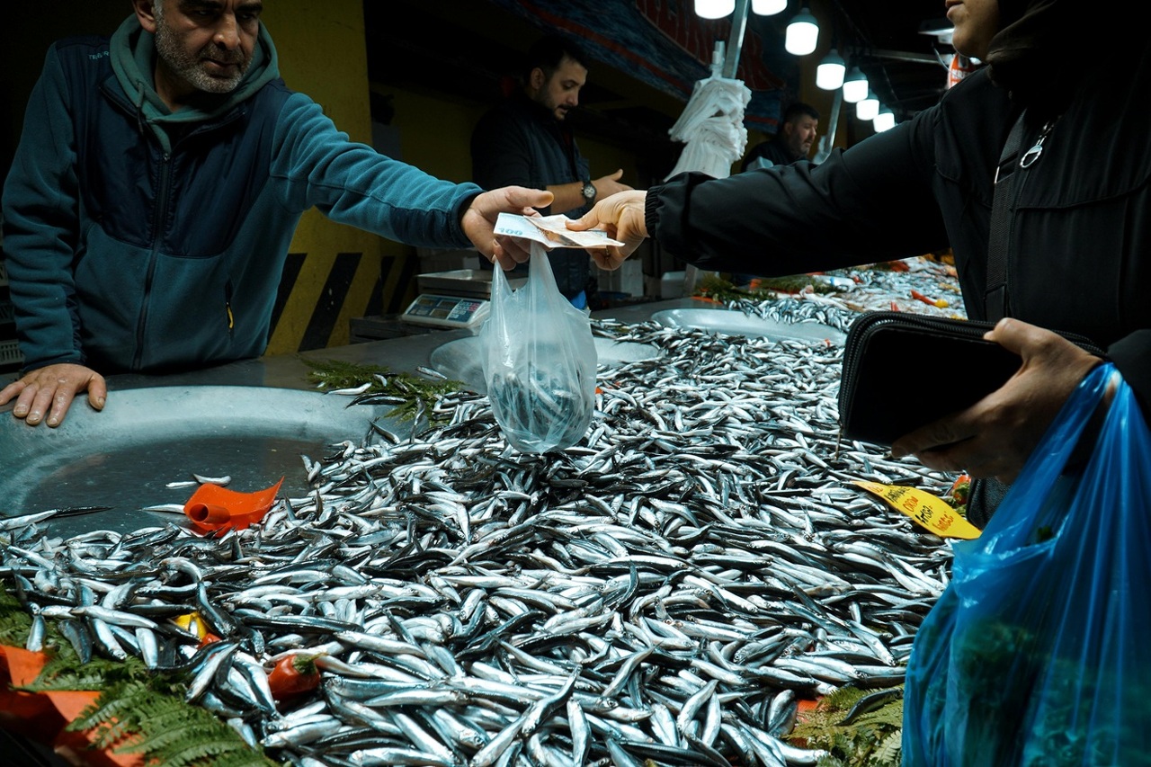 pexels-424fotograf-169879395-35688598