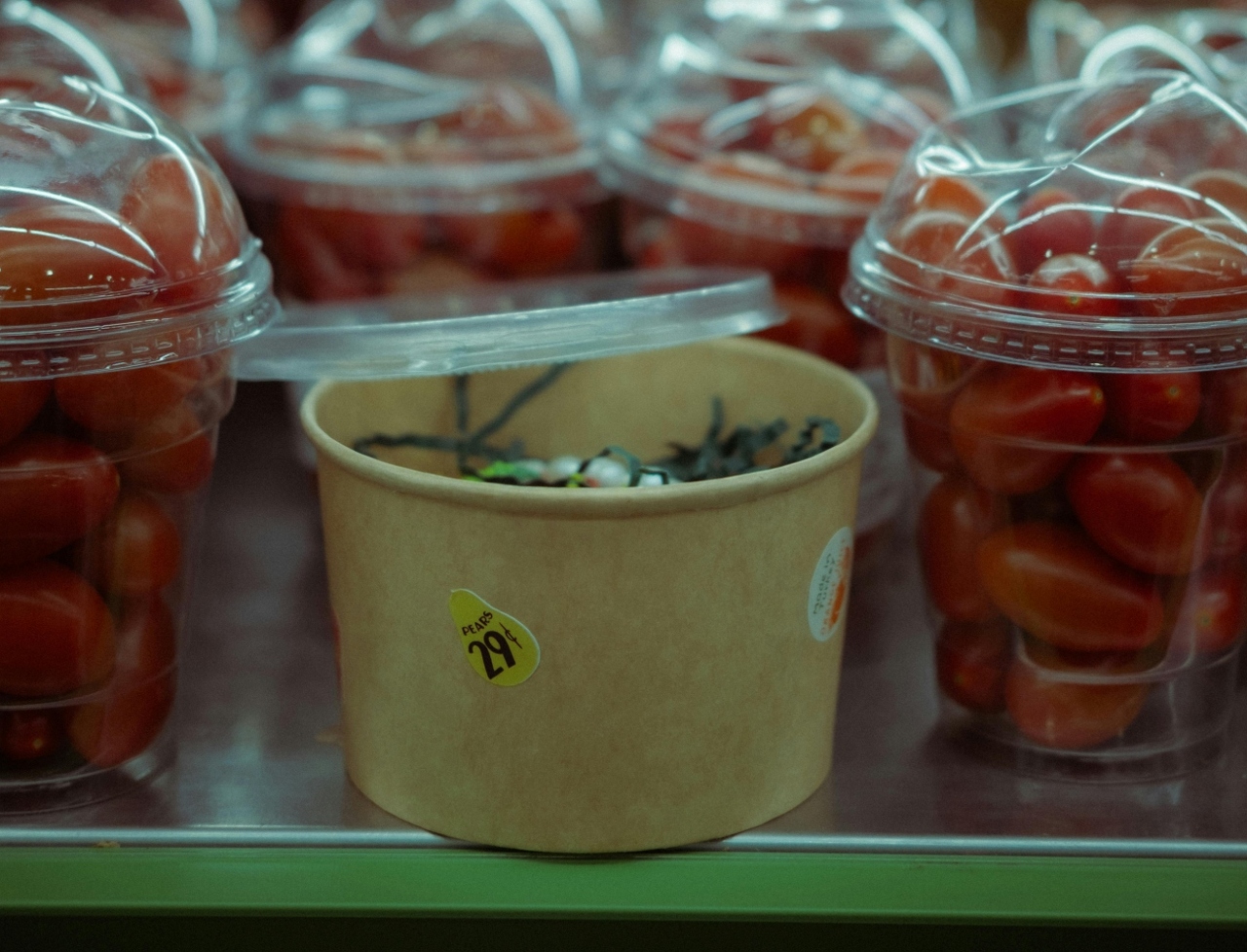 pexels-zehra-k-710717493-32172226 (1)