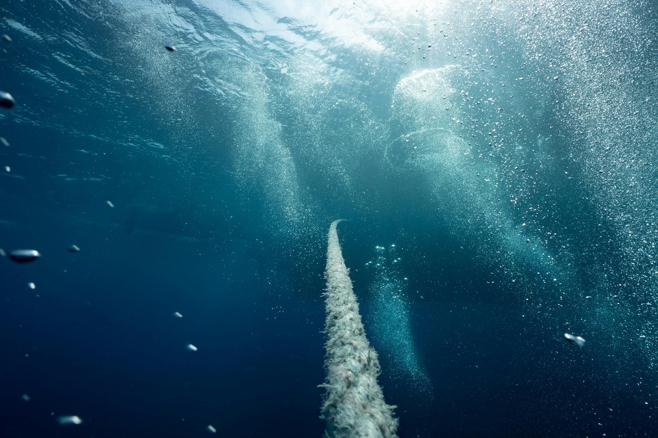 pexels-saad-alaiyadhi-131639221-13010775