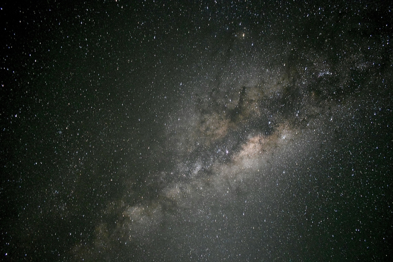 pexels-jjstudio-31398268 (1)