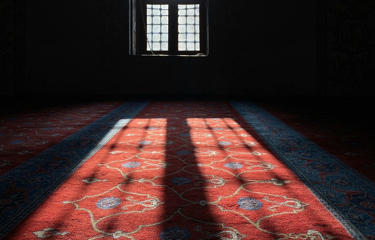 pexels-this-and-no-internet-25-288559-16375621