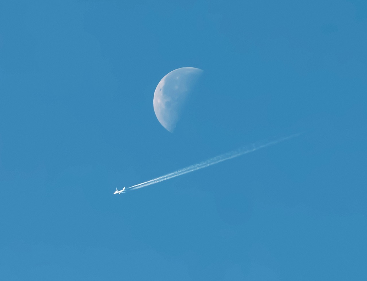 pablo-varela-a8MY9xGERVw-unsplash