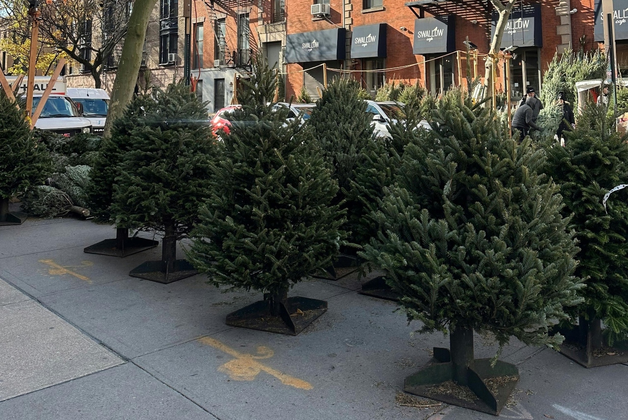 pexels-sarah-o-shea-98049248-29586717 (1)