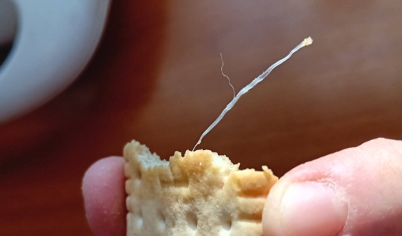 image - 2025-12-29T162018