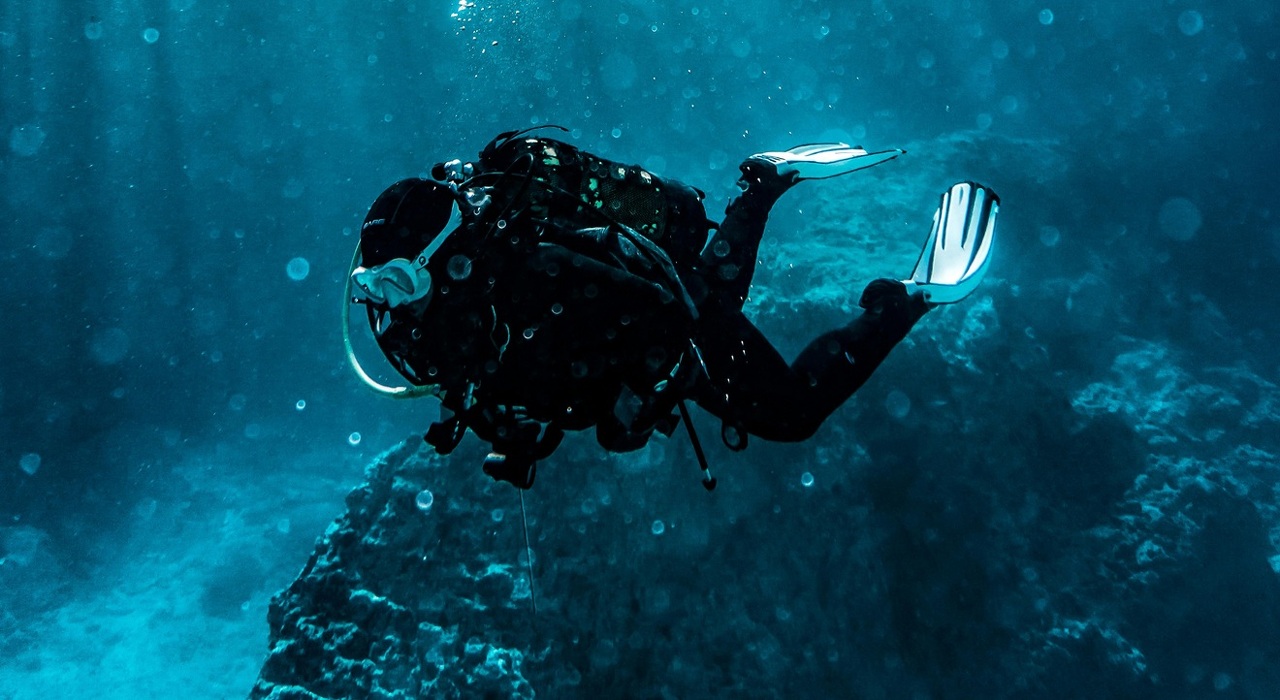 pexels-pspov-3046582