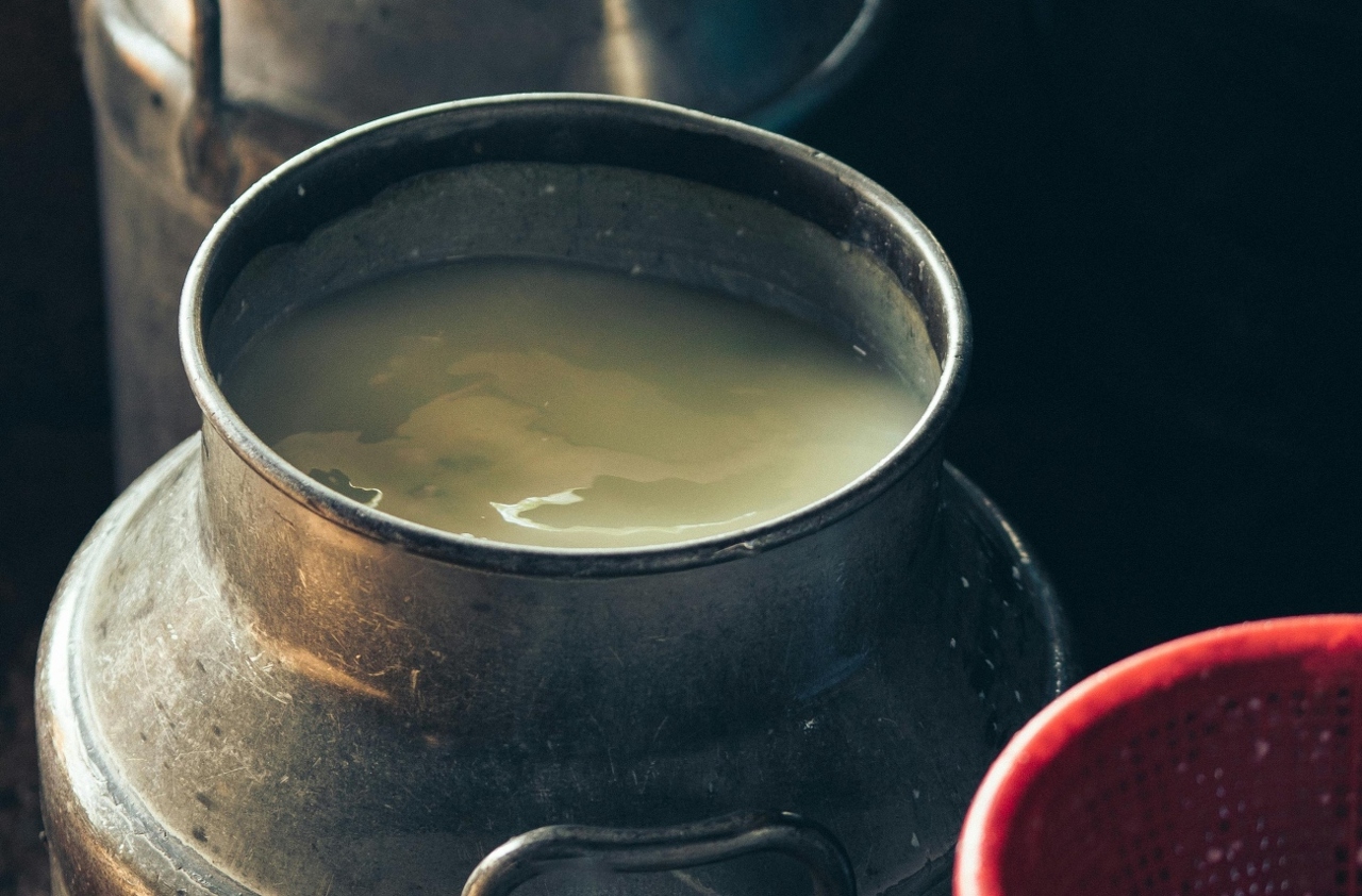 pexels-cristian-rojas-8064394 (1)