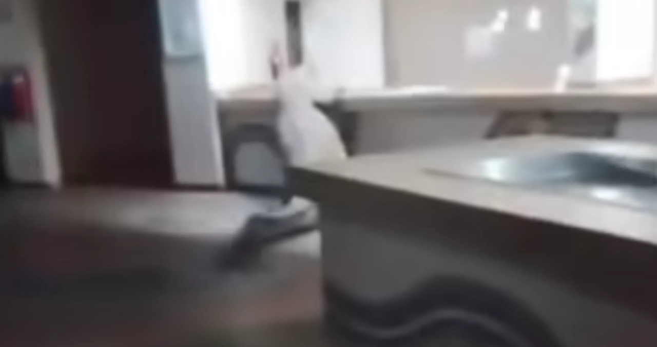 image - 2026-04-22T184150