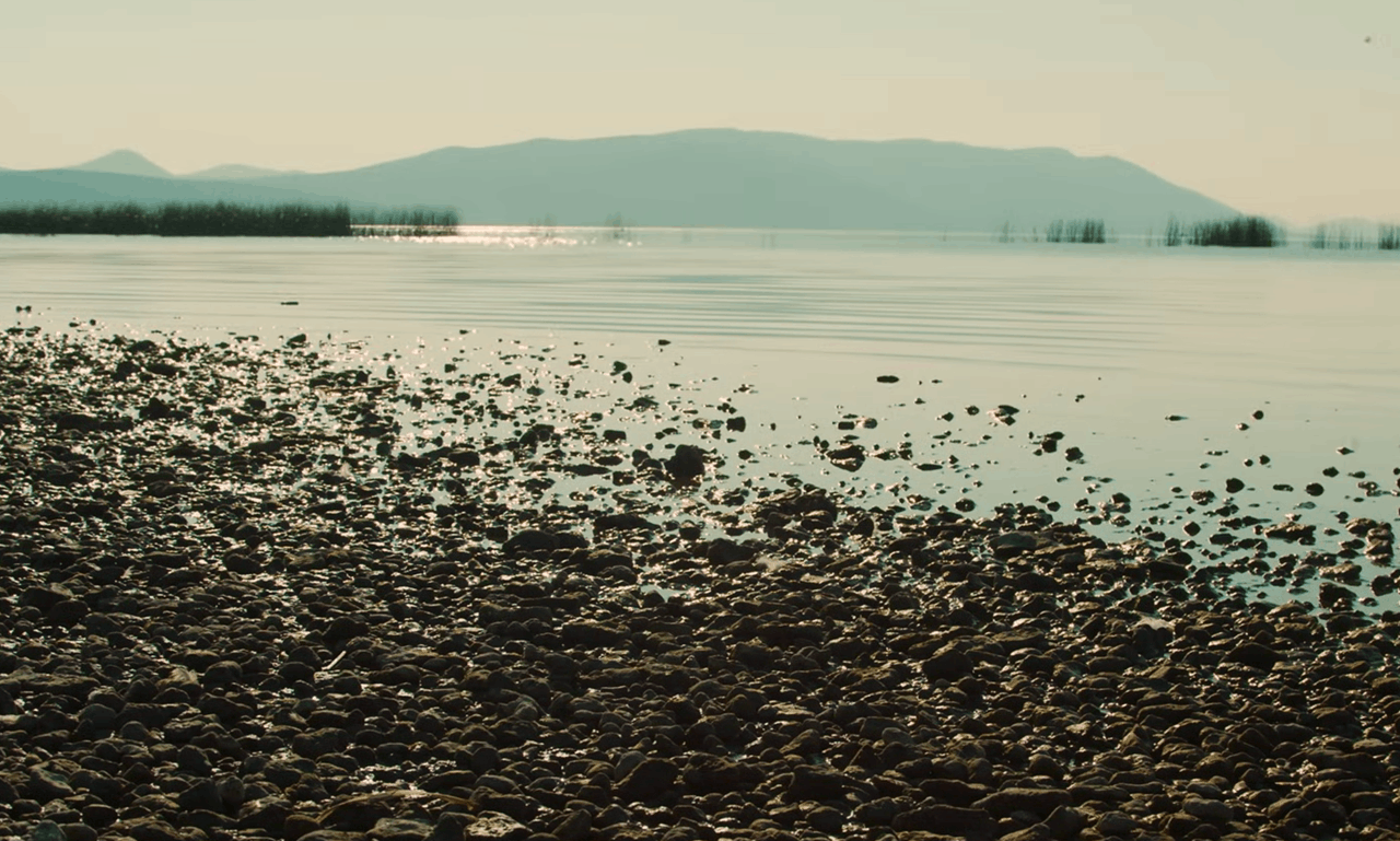 Snimka zaslona 2026-04-07 092557