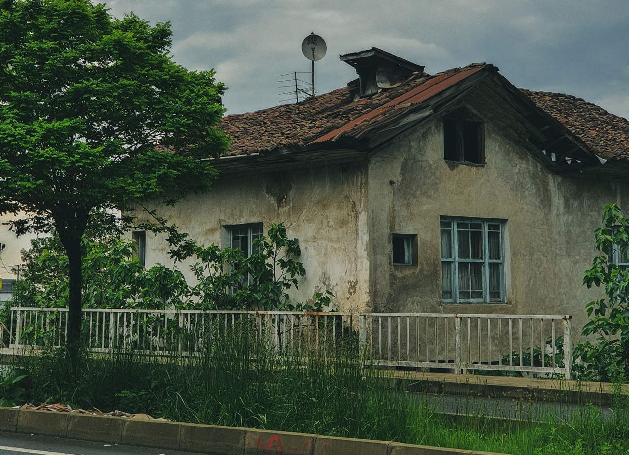 pexels-eceebrarr-16860477