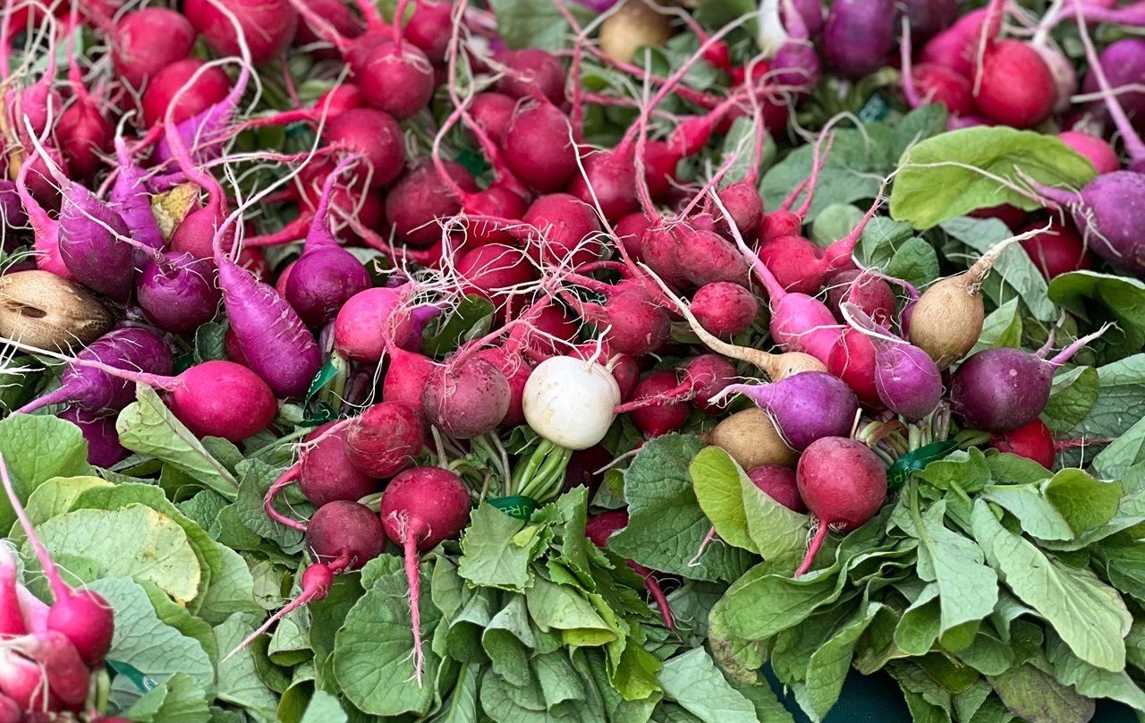 pexels-planka-25682817