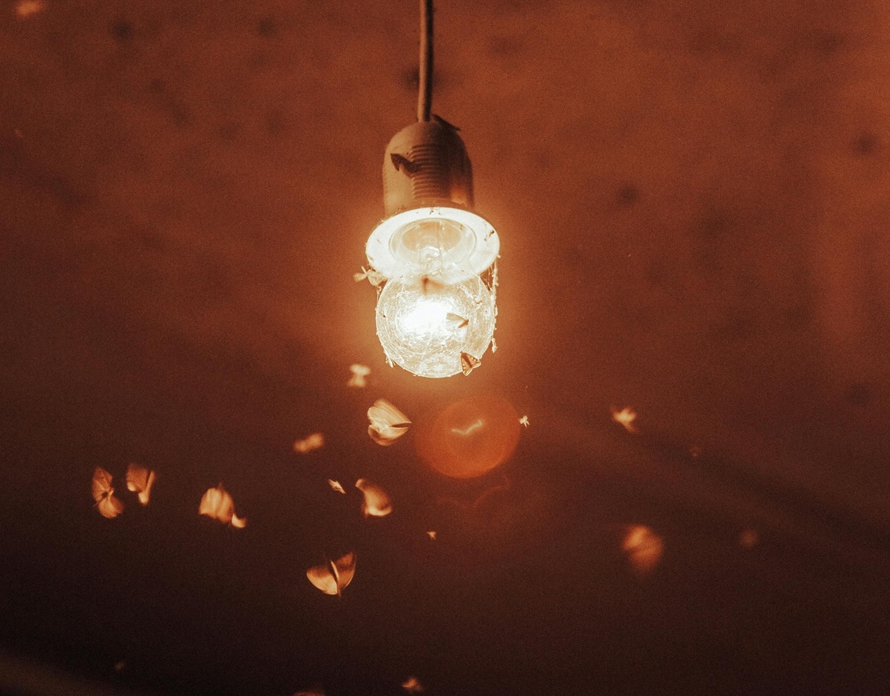 pexels-egojane-9595822